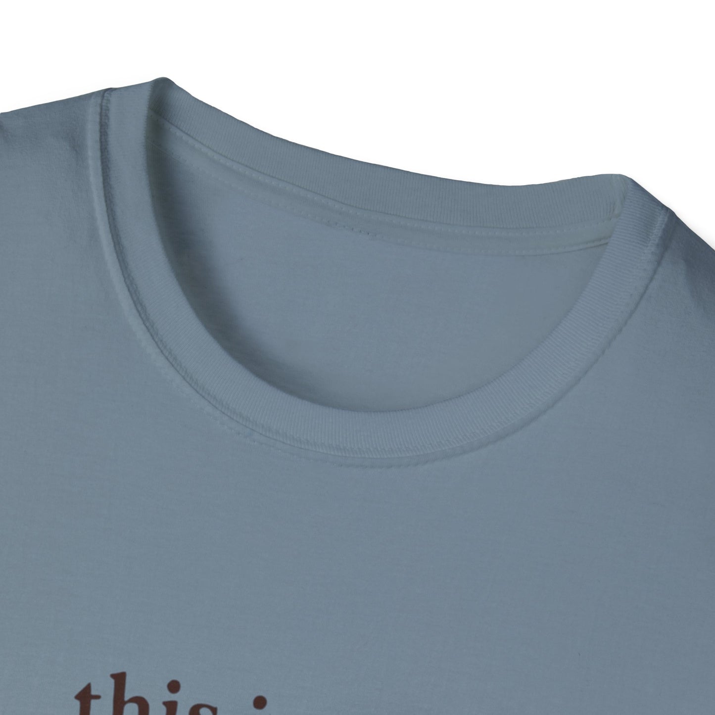 I'm Tired Raccoon Tee